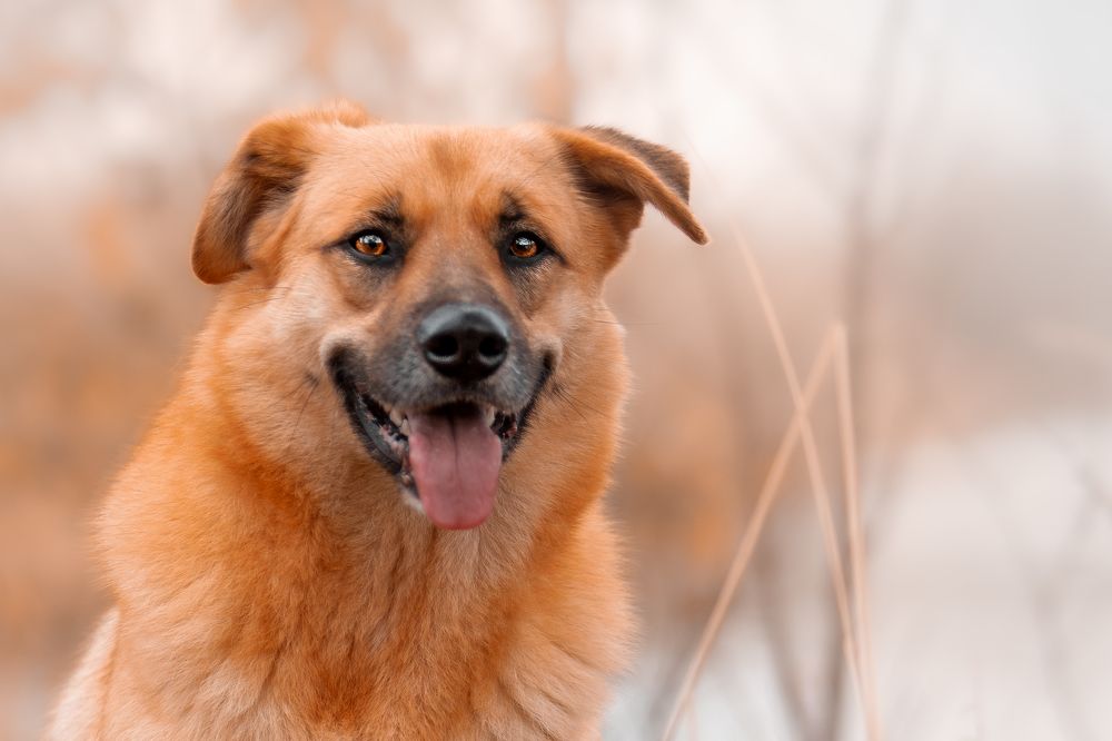 Photograph by Александр Соловьев