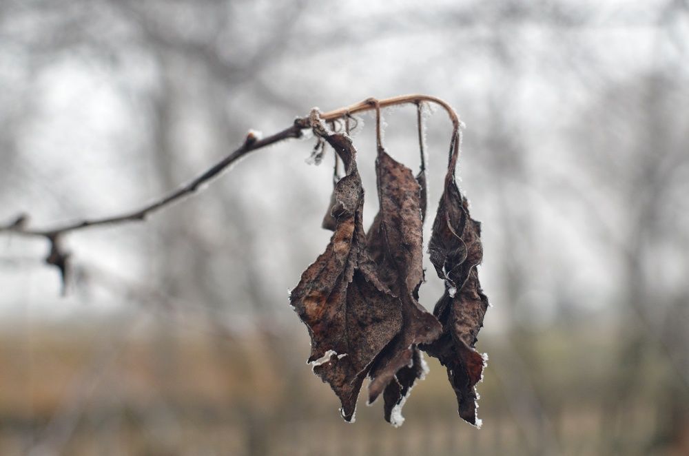 Фотография автора Olga Belikova