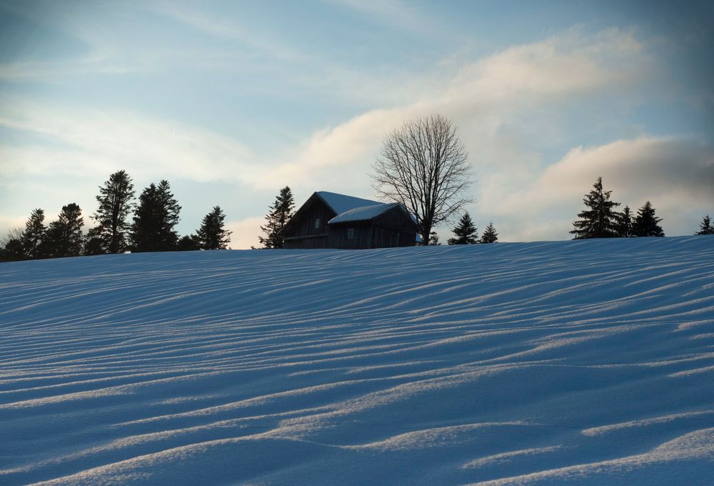Photograph by Ala Botnarescu