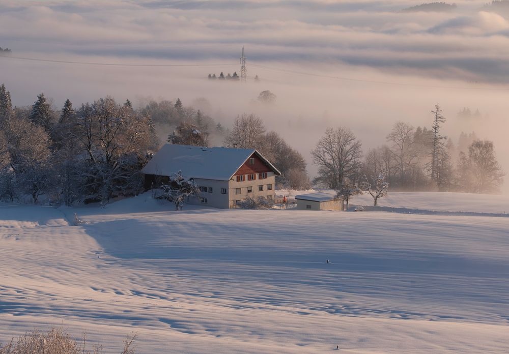 Photograph by Ala Botnarescu