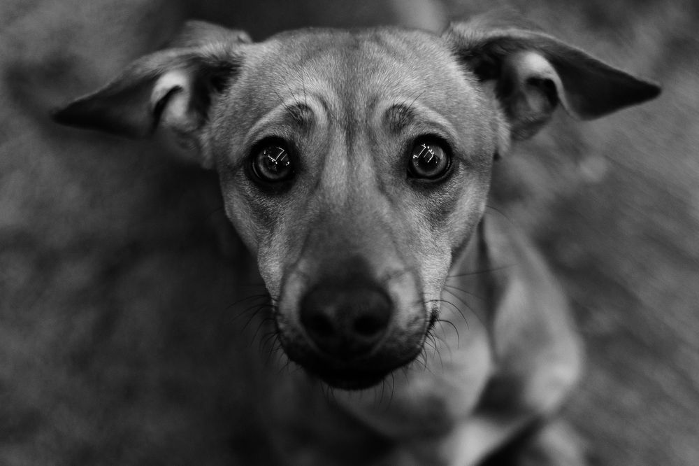 Photograph by Игорь