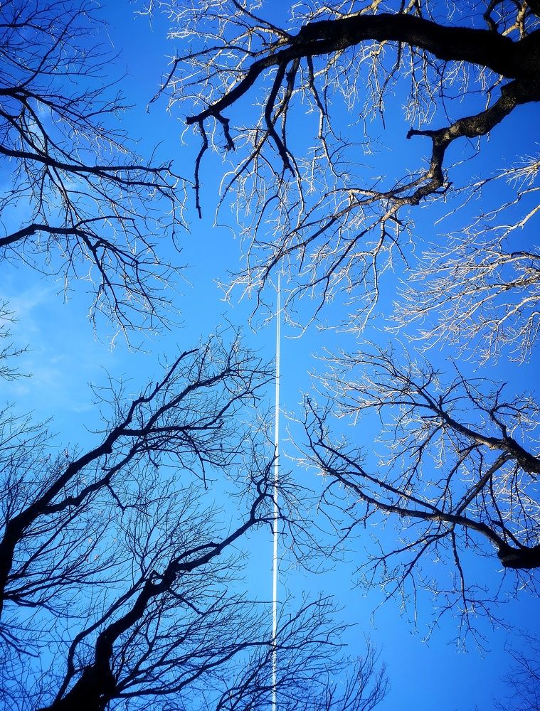 Photograph by Владимир Кривенко