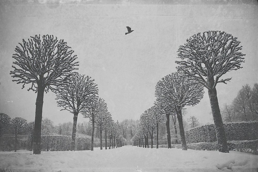 Фотография автора Александр Далла