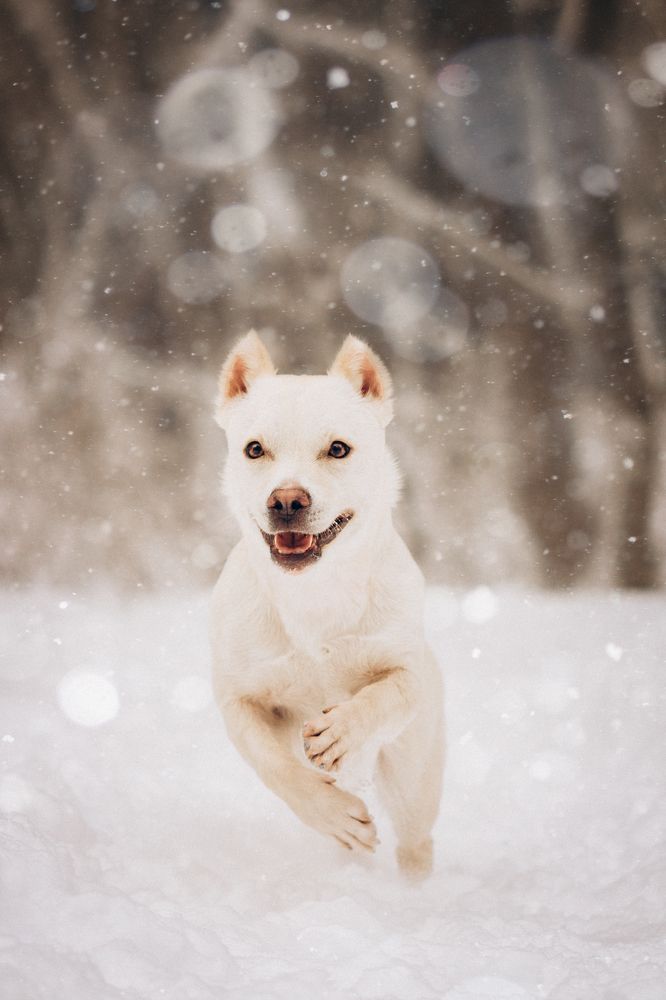 Photograph by Ангелина Ледовская