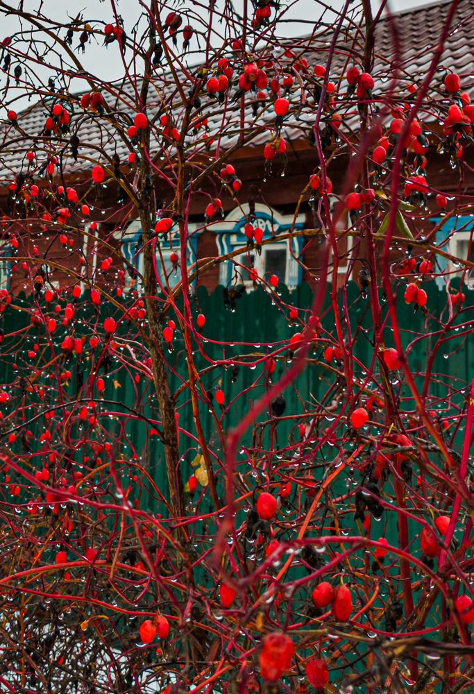 Фотография автора Швайко Михаил