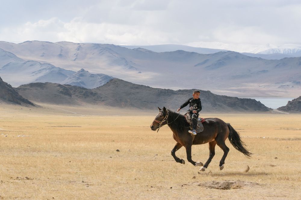 Фотография автора Рохмистрова Мария