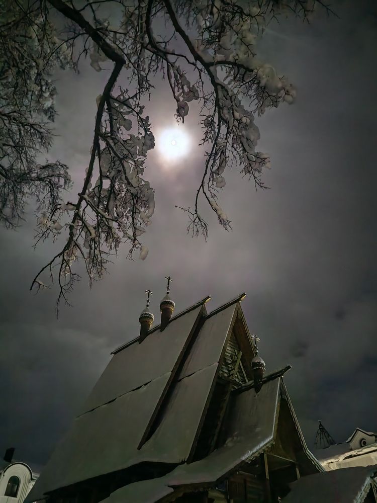 Photo #10033352
