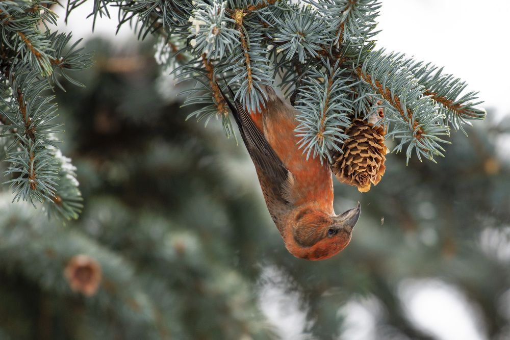 Photograph by Мария Долбич