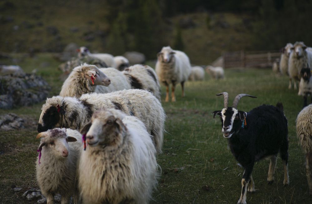 Photograph by Анна Воронова