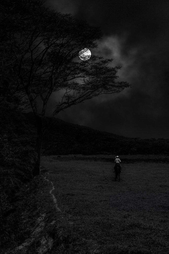 Photograph by Geovane