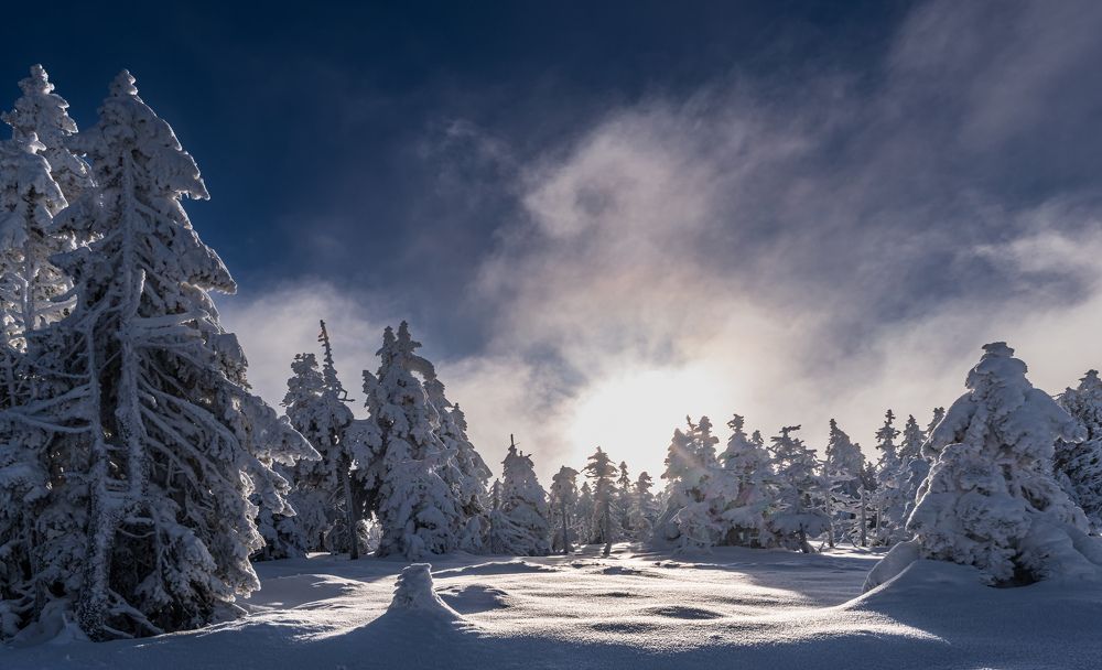 Photograph by Wiese Michael