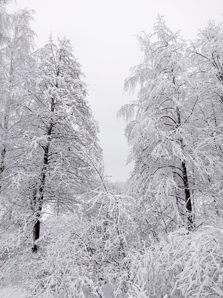 Фотография автора Александр Хухлов