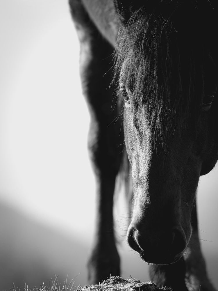 Photograph by Giuseppe Catalano