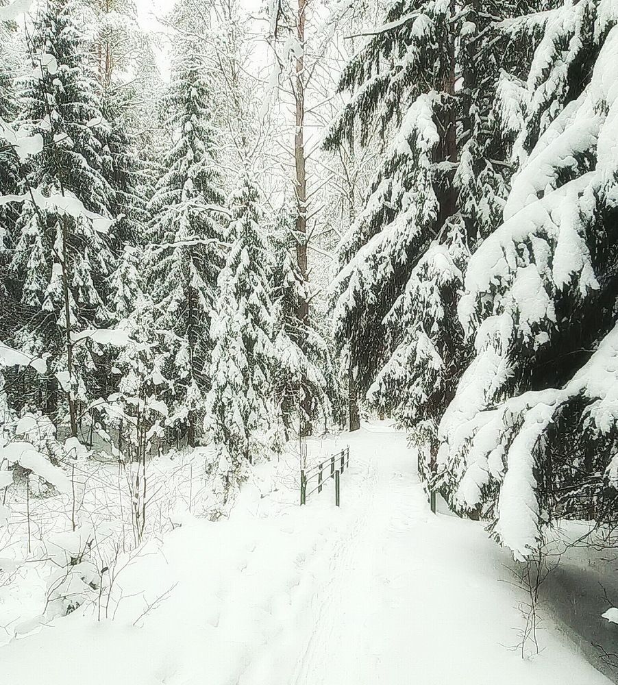 Photograph by А. Масленников