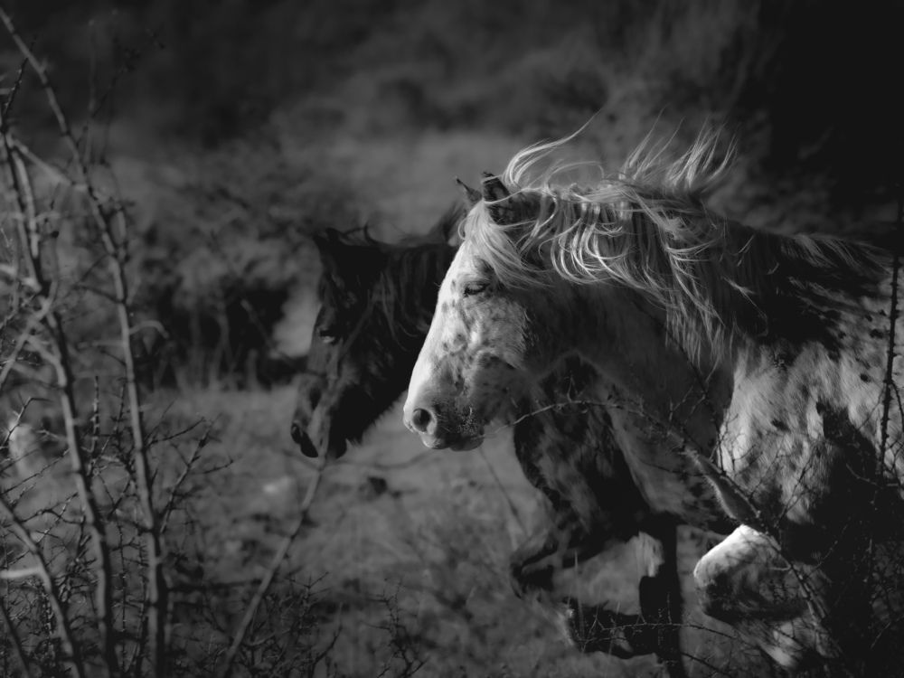 Photograph by Giuseppe Catalano