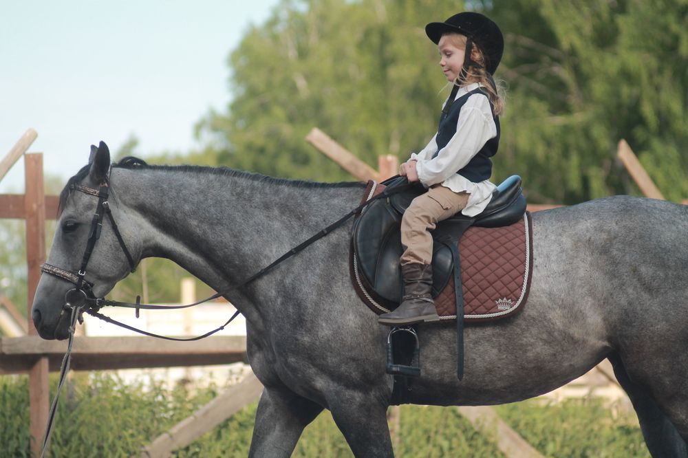 Photograph by Светлана Шиляева