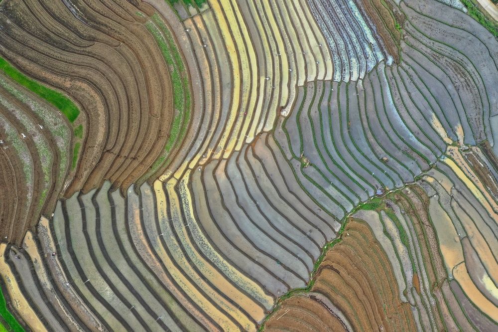 Photograph by Moc Lan