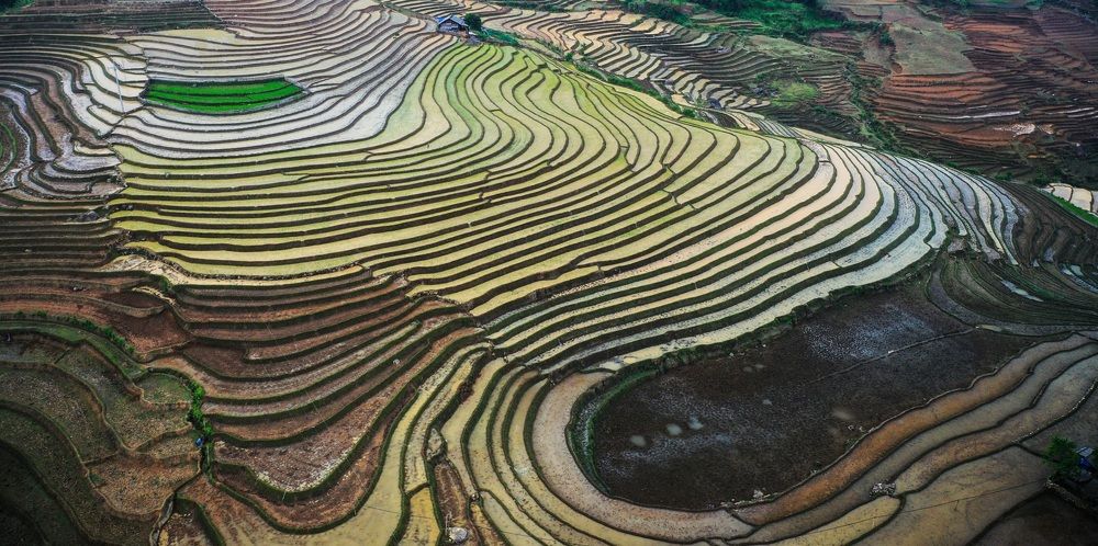Photograph by Do Thi Thanh Binh
