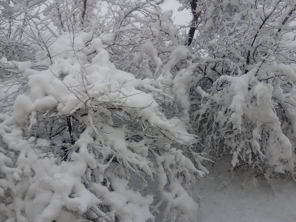 Photograph by Aliaksei Sauko