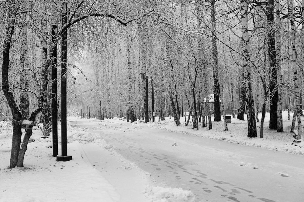 Photograph by Баженова Наталья