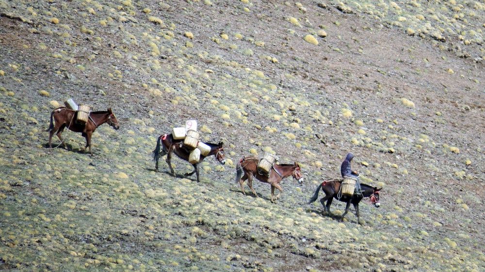 Photograph by Aliaksei Sauko