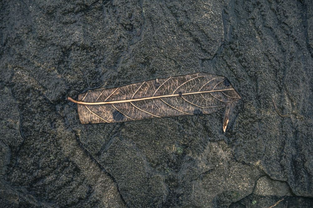 Photograph by Сергей Алексеев