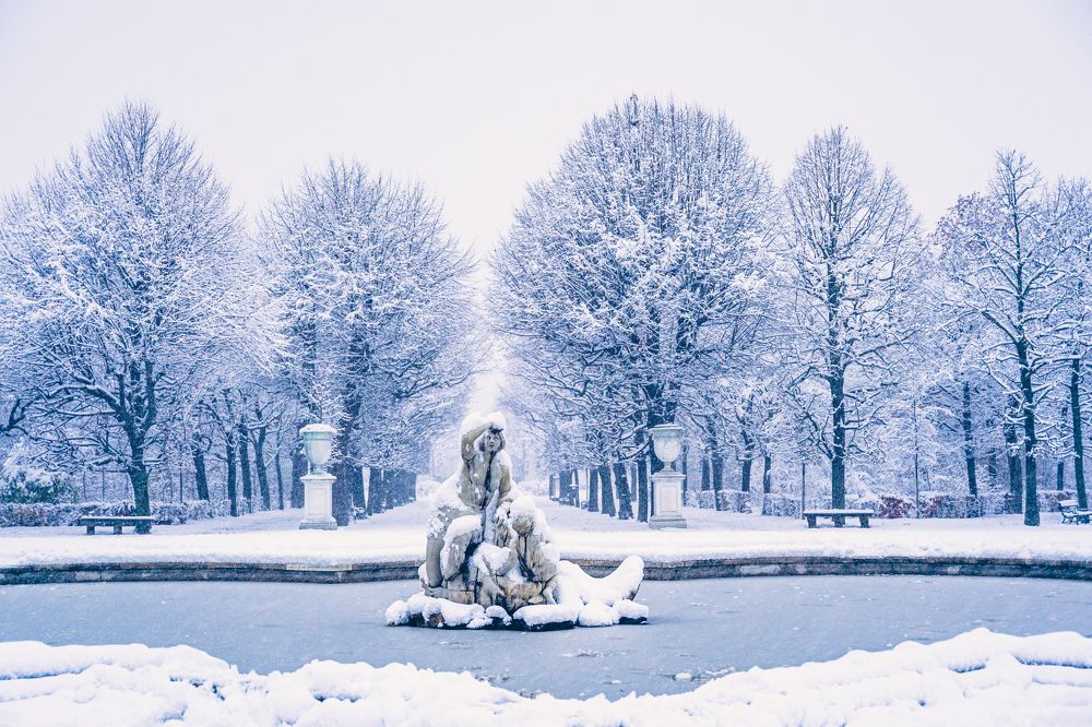 Фотография автора Ankit Gupta