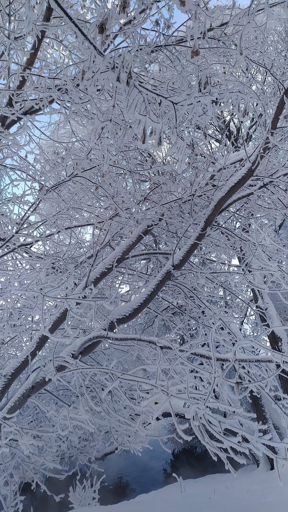 Photograph by Юлия Майкова