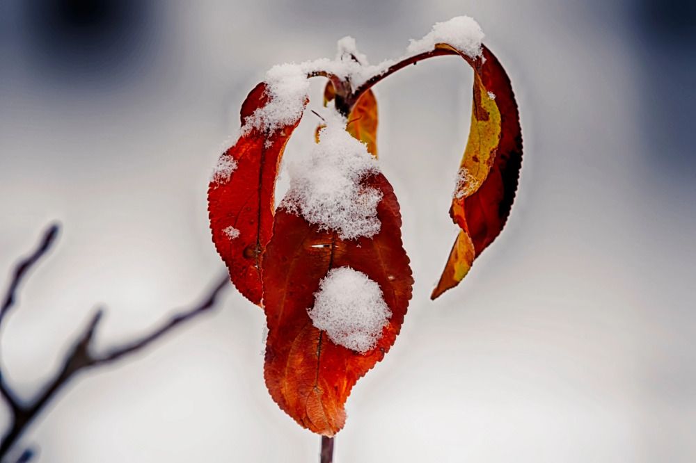 Фотография автора Александр Вольхин
