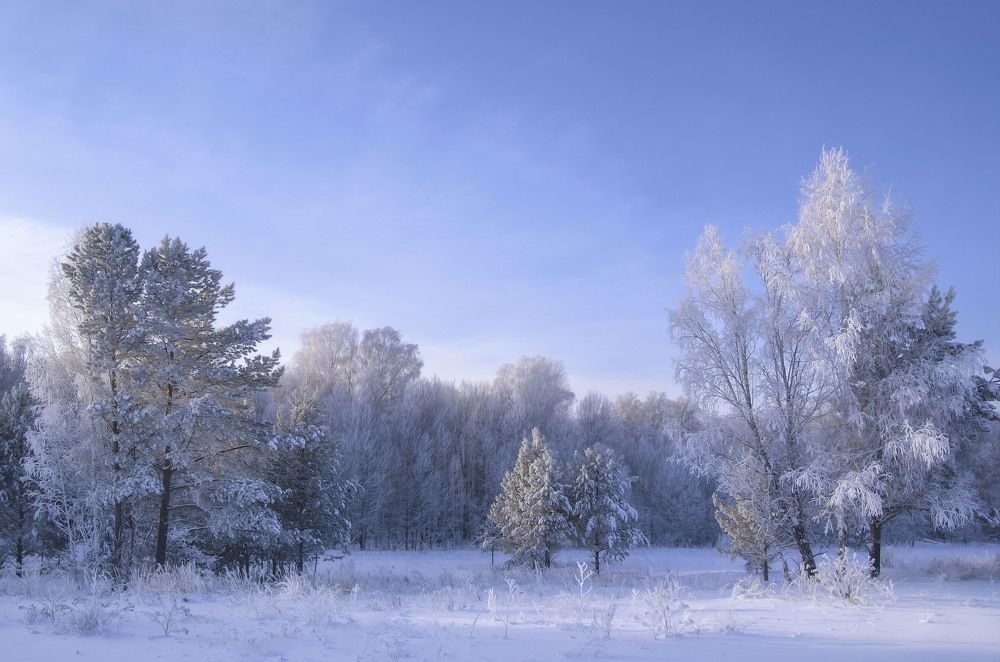 Photograph by Юлия Лушникова
