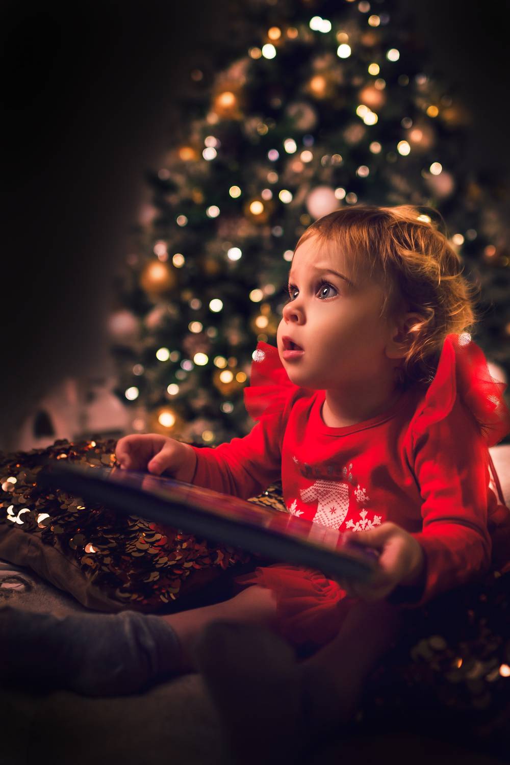 Photo #10033847