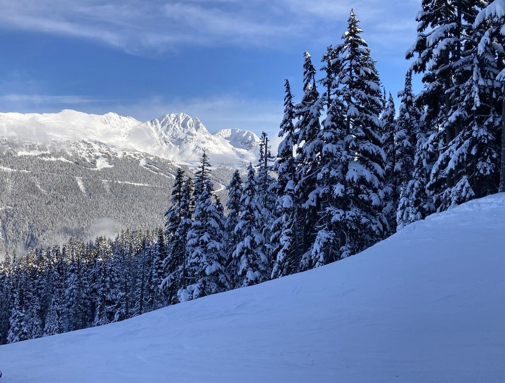 Фотография автора Елена