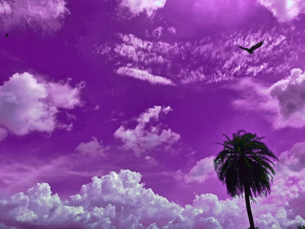 Photograph by Ananaya