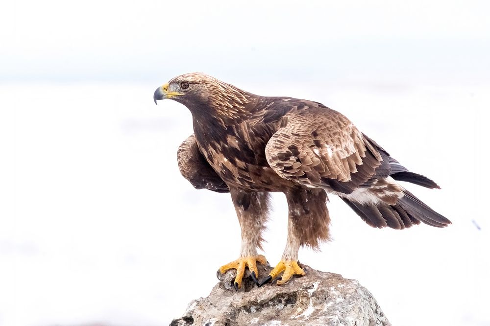 Photograph by Власов Егор