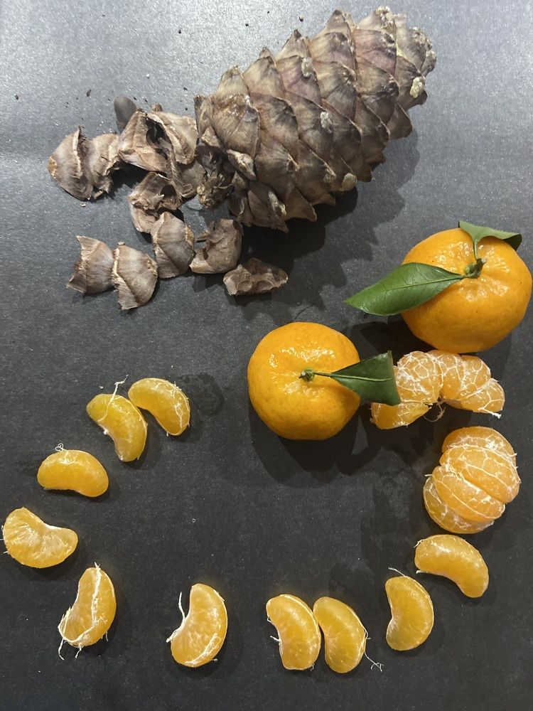 Photograph by Елена Мусина