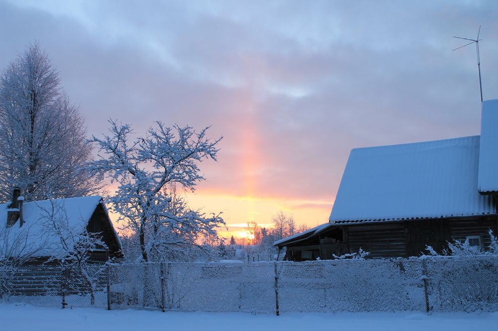 Photograph by Алла Бойко