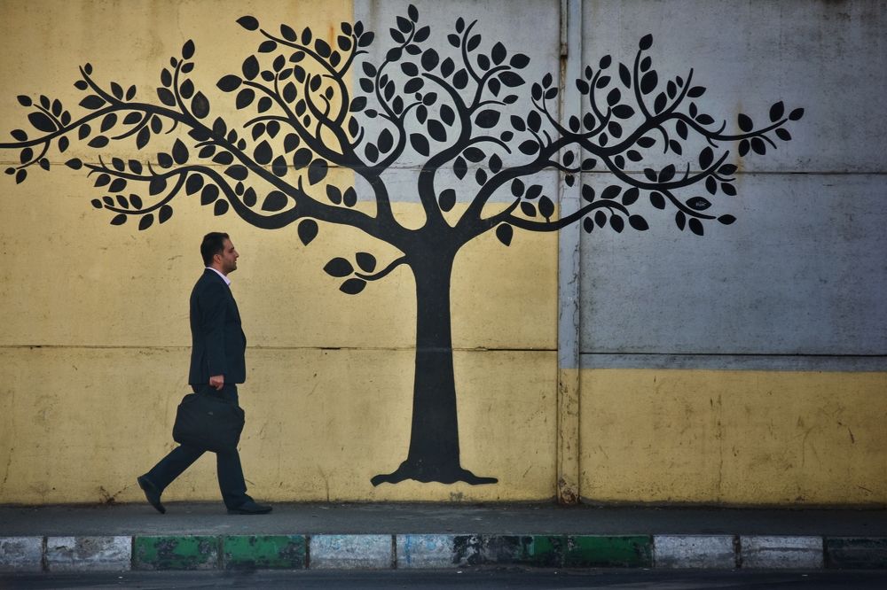 Фотография автора ABOLFAZL MAHMOUDI