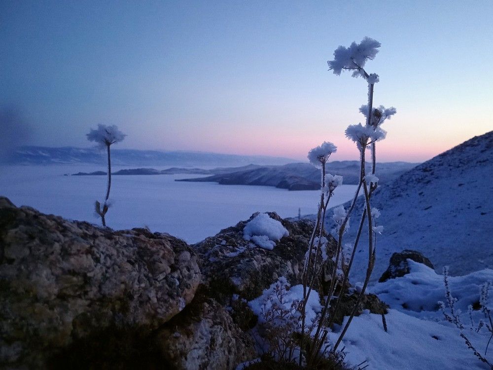 Photograph by Светлана Рухманова