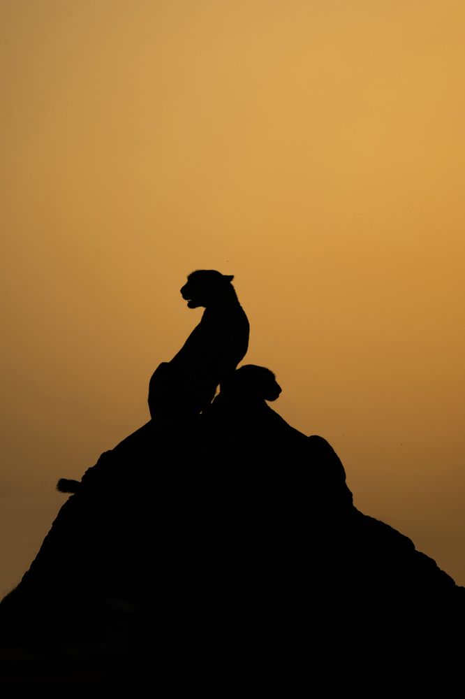 Photograph by Goutham Ganesh Sivanandam