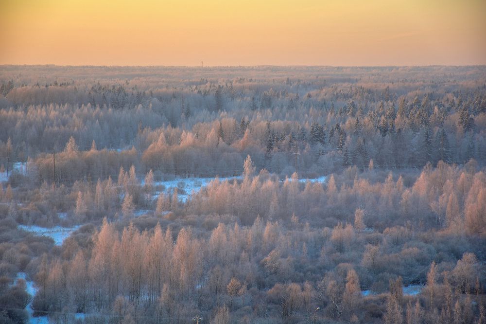Photograph by Дмитрий Петров