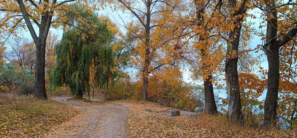 Photograph by Талисман Виталий