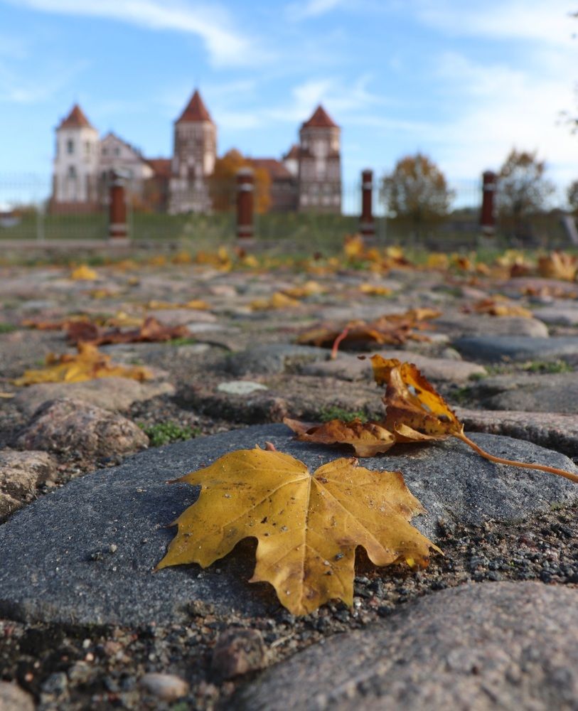 Photograph by Алексейчик Дмитрий