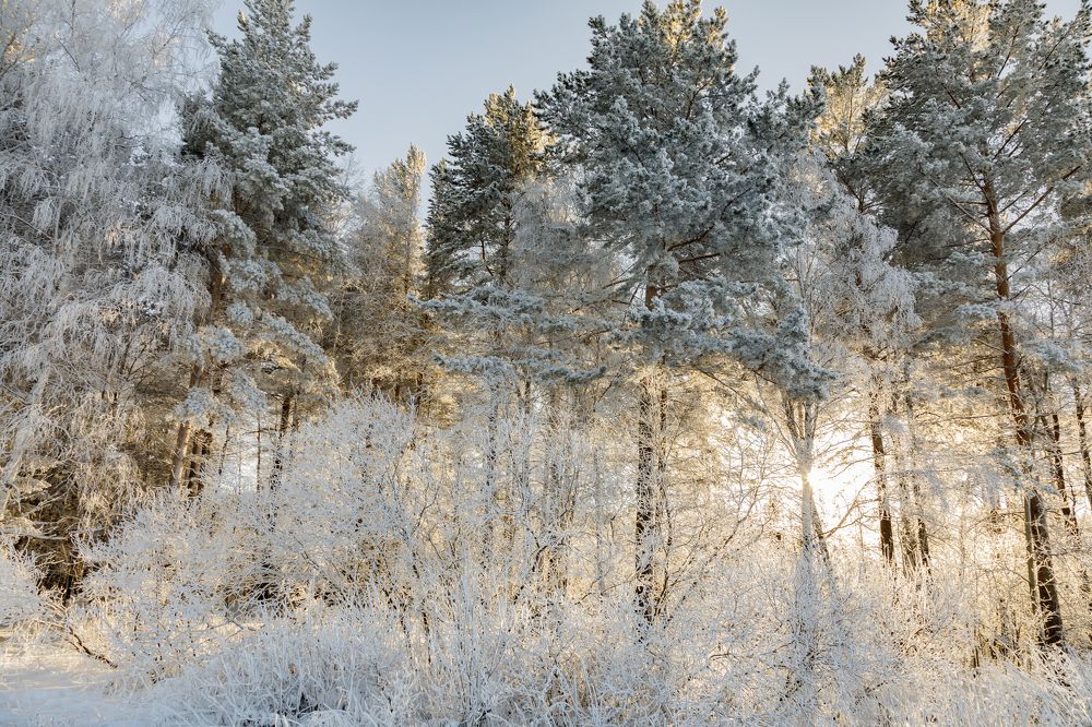 Photograph by Евгений Наймушин