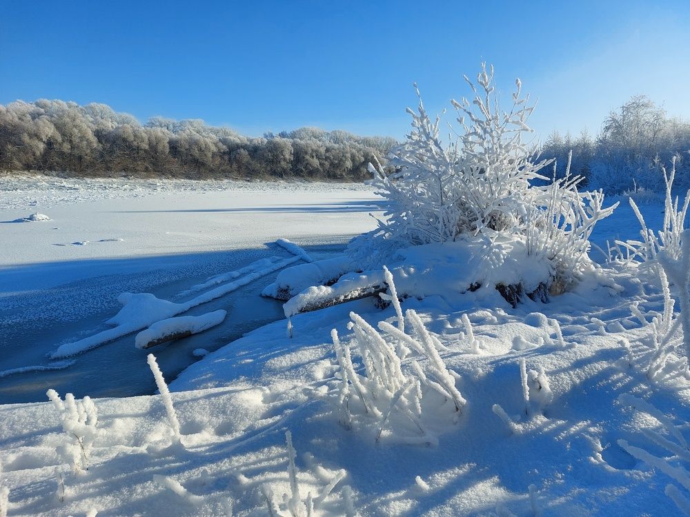 Photograph by Наталья Дубовкина