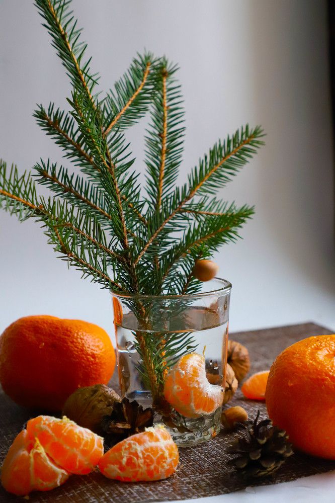 Photograph by Елена Сиднина