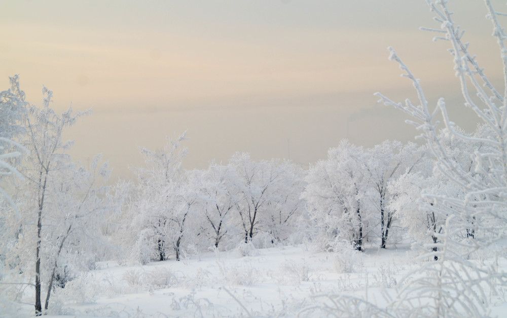 Photograph by Дубровин Николай