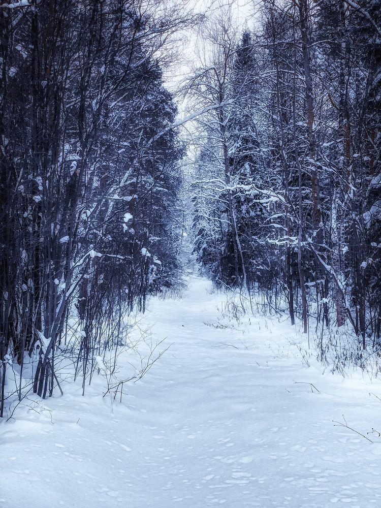 Photograph by Алексей Горин