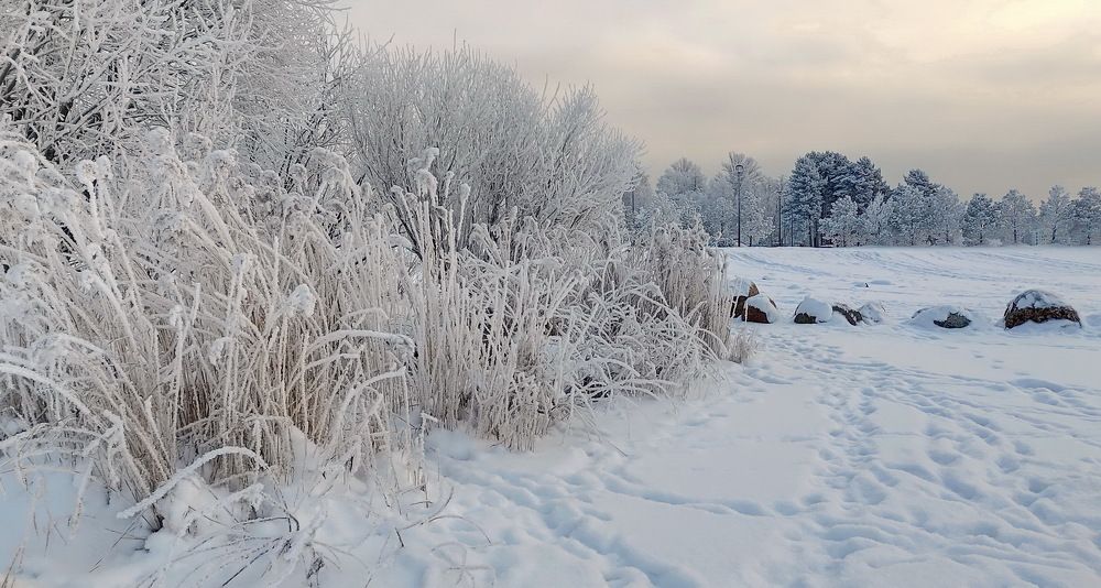 Photograph by Староверов Станислав