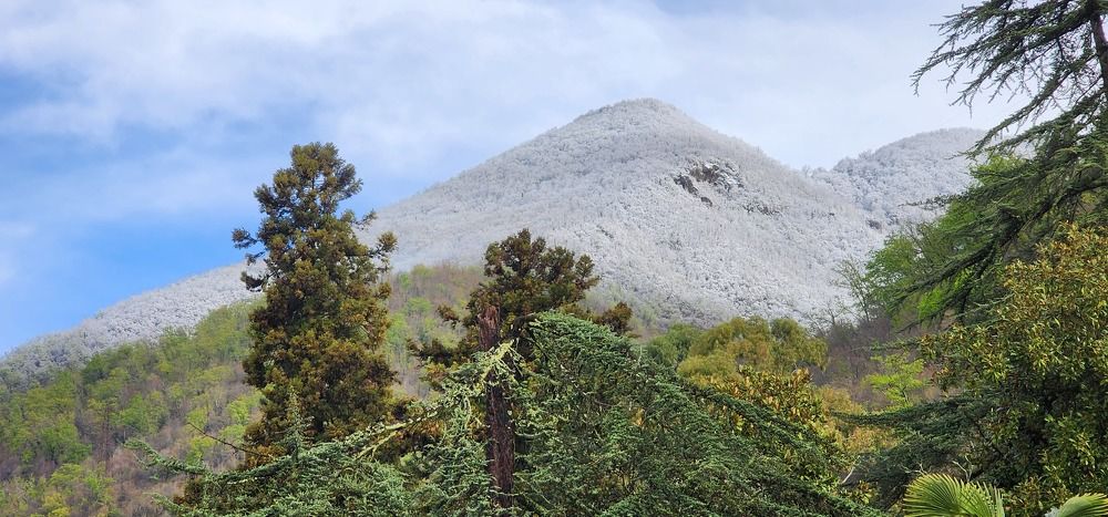 Photograph by mikhail goryachev