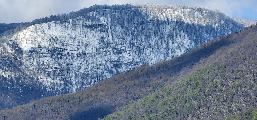 Photograph by mikhail goryachev